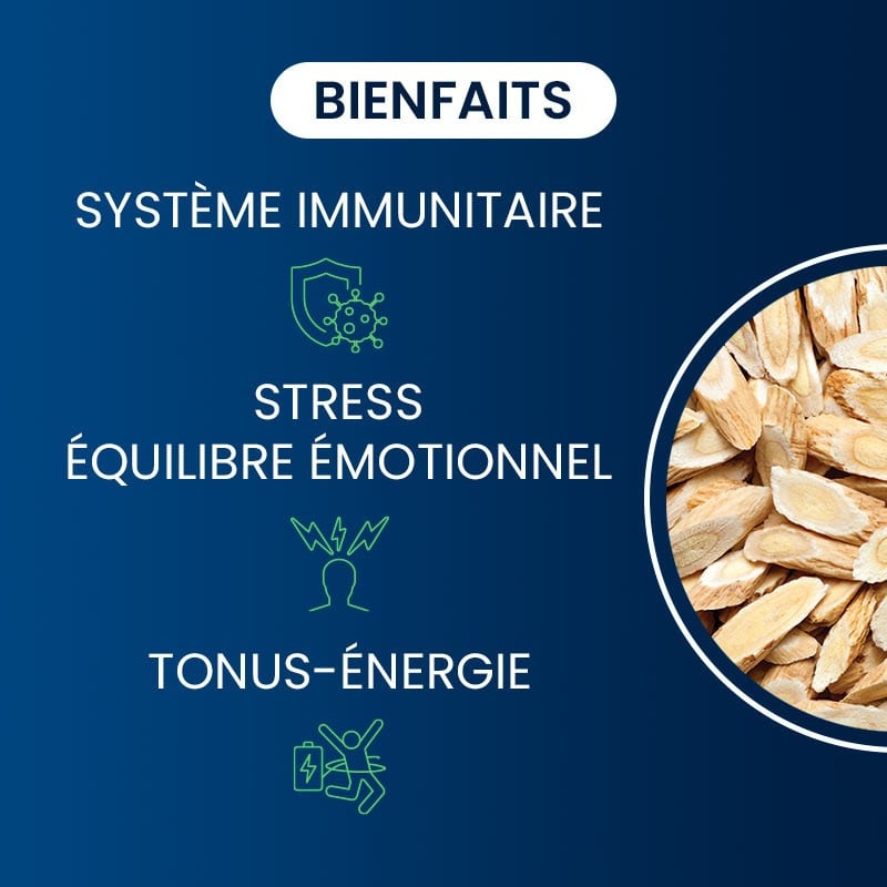 Gymnema Sylvestris bio Gymnema Sylvestris bio