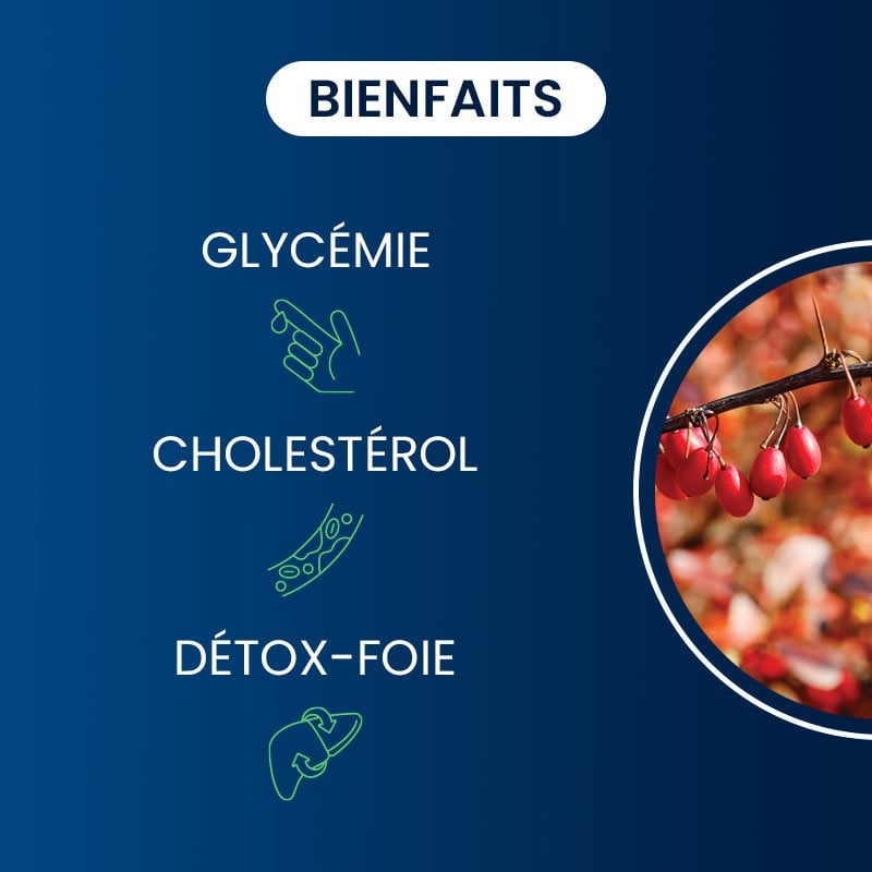 bienfaits berbérine pure