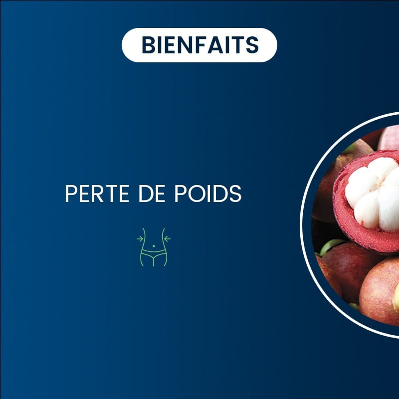 Bienfait du Garcinia cambogia BIO