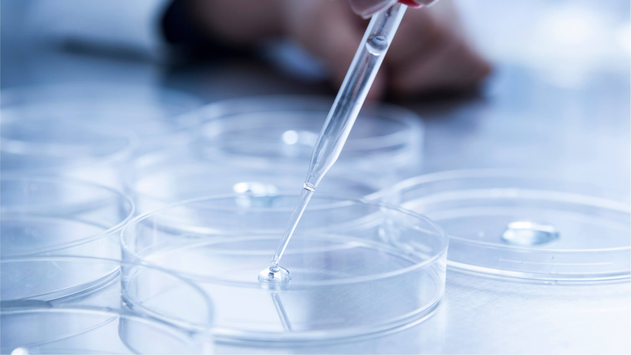 lanr subventionne dynveo pour ses recherches sur la biofermentation