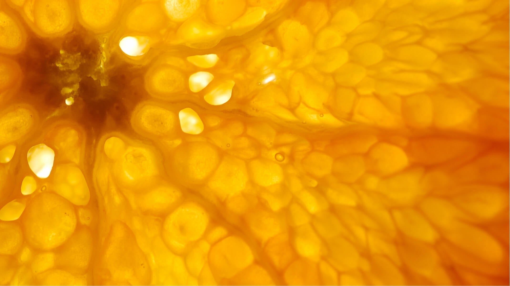 les bienfaits de la vitamine c