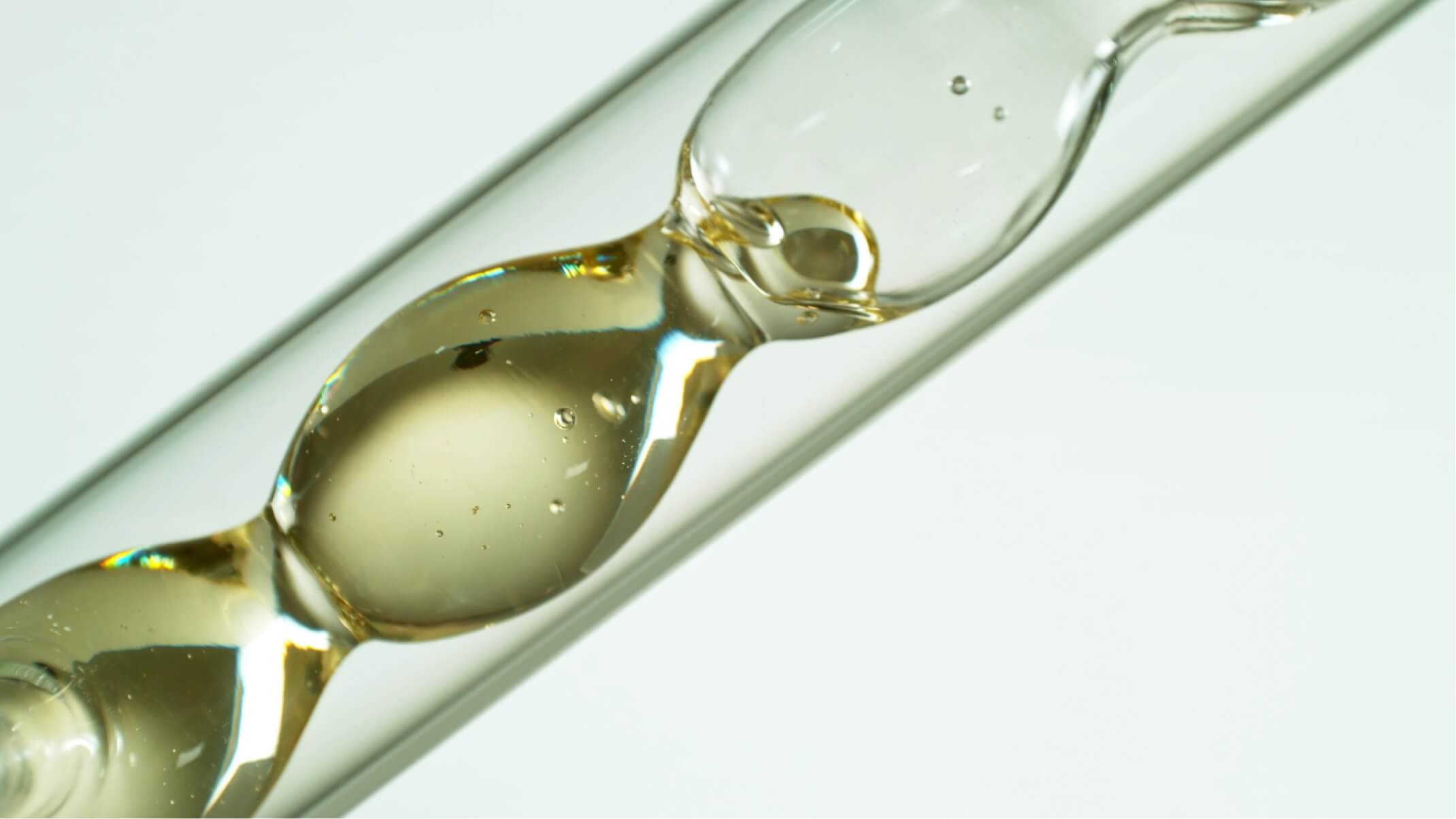 extraction vegetale extrait sec de plante