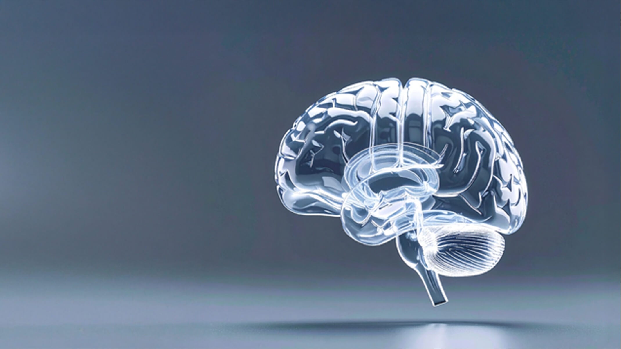 quelles sont les fonctions cognitives