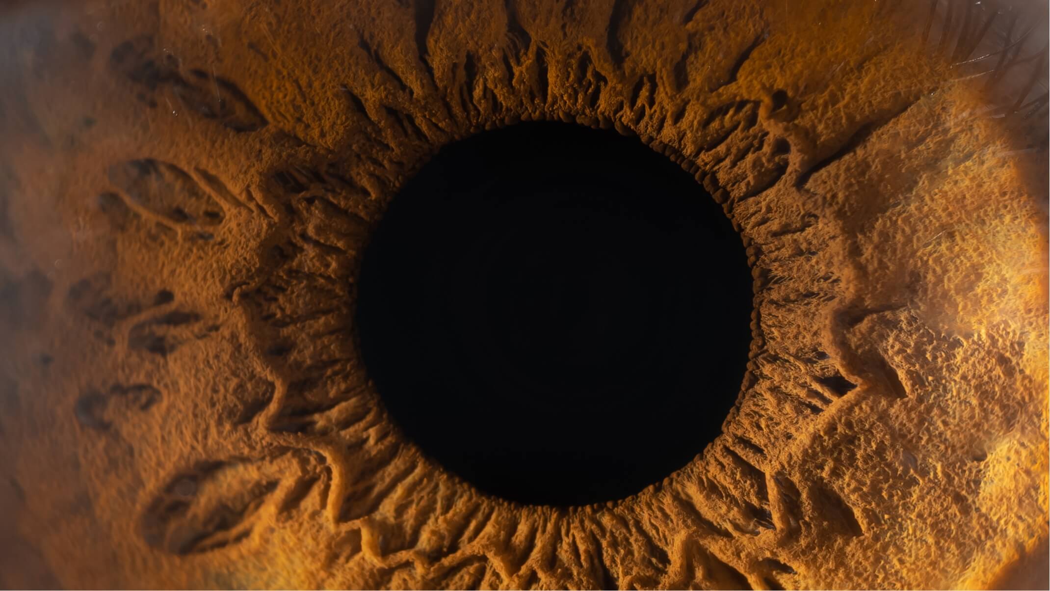 gestion du stress et des emotions