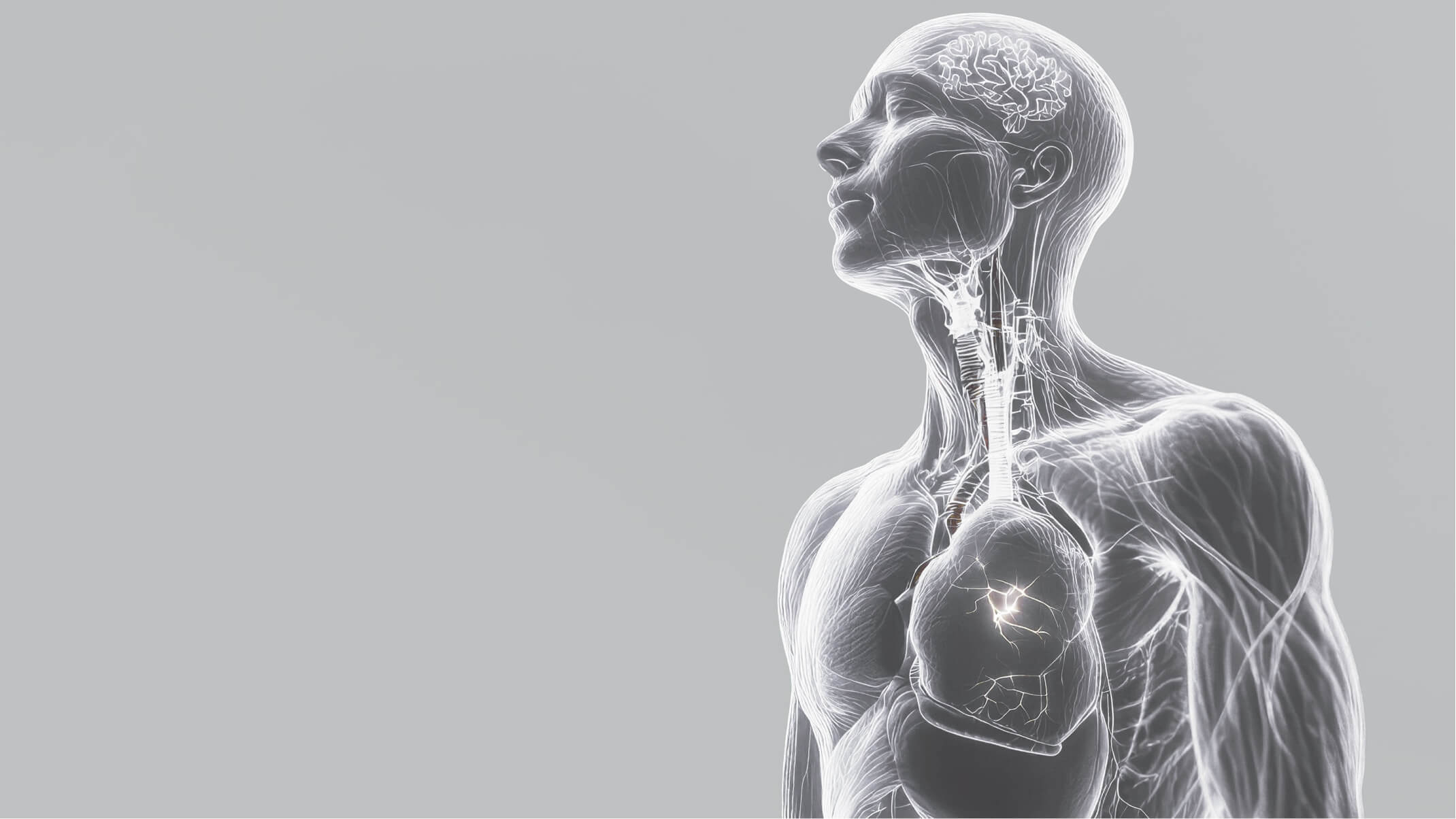 manque de fer causes dangers et comment y remedier