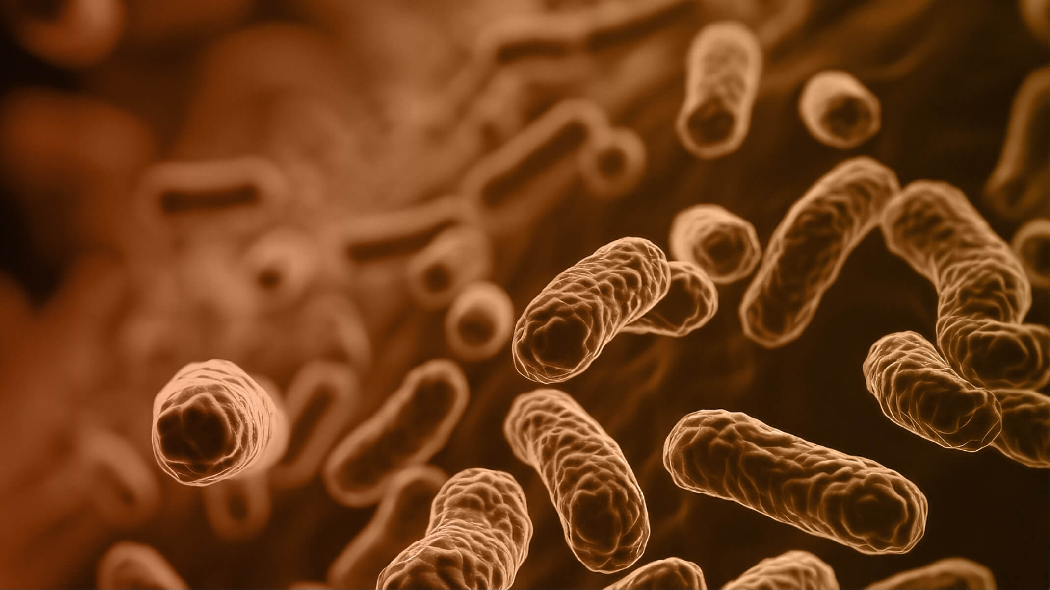 microbiote et immunite comprendre et renforcer