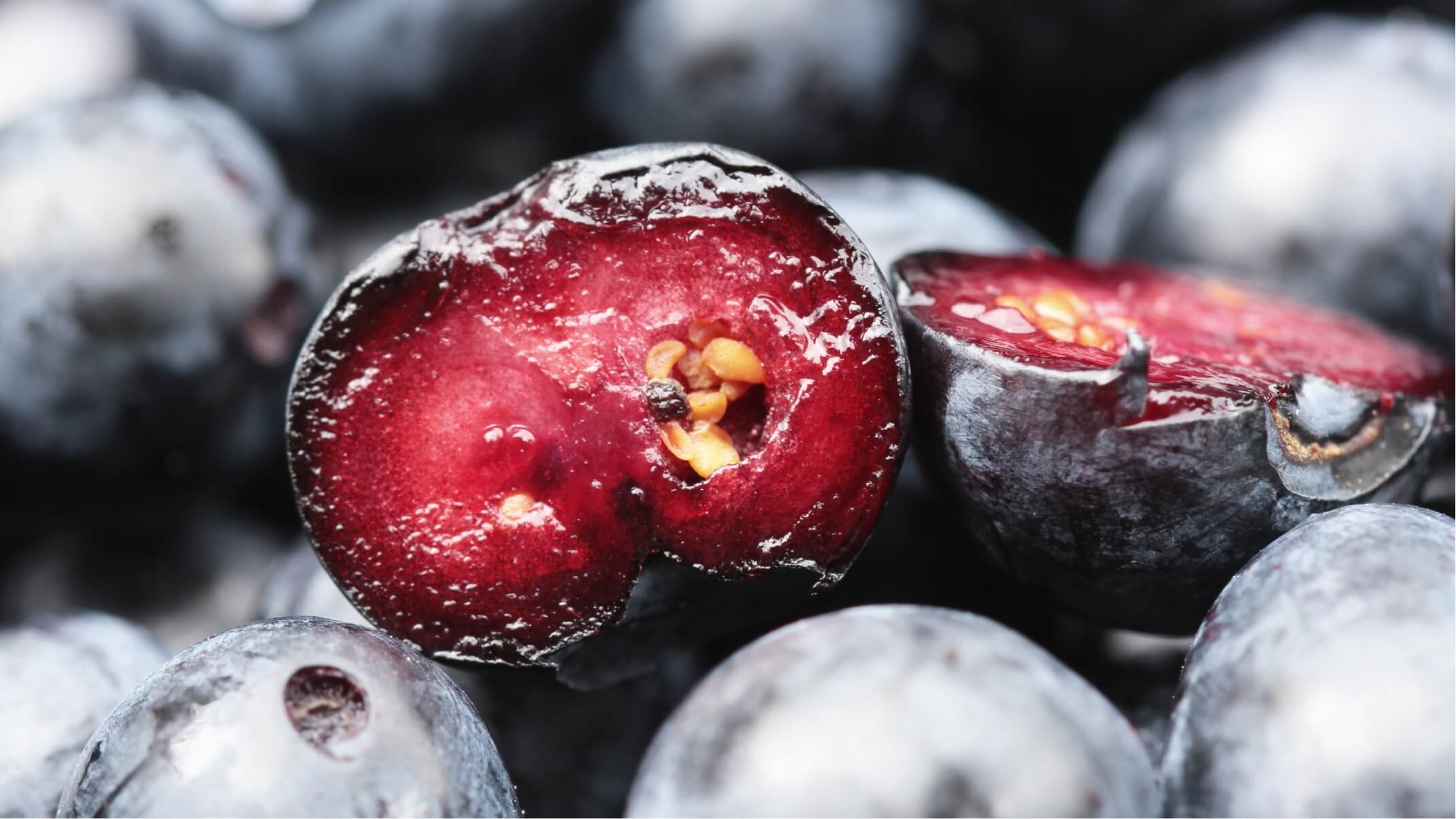 bienfaits et contre indications de la myrtille