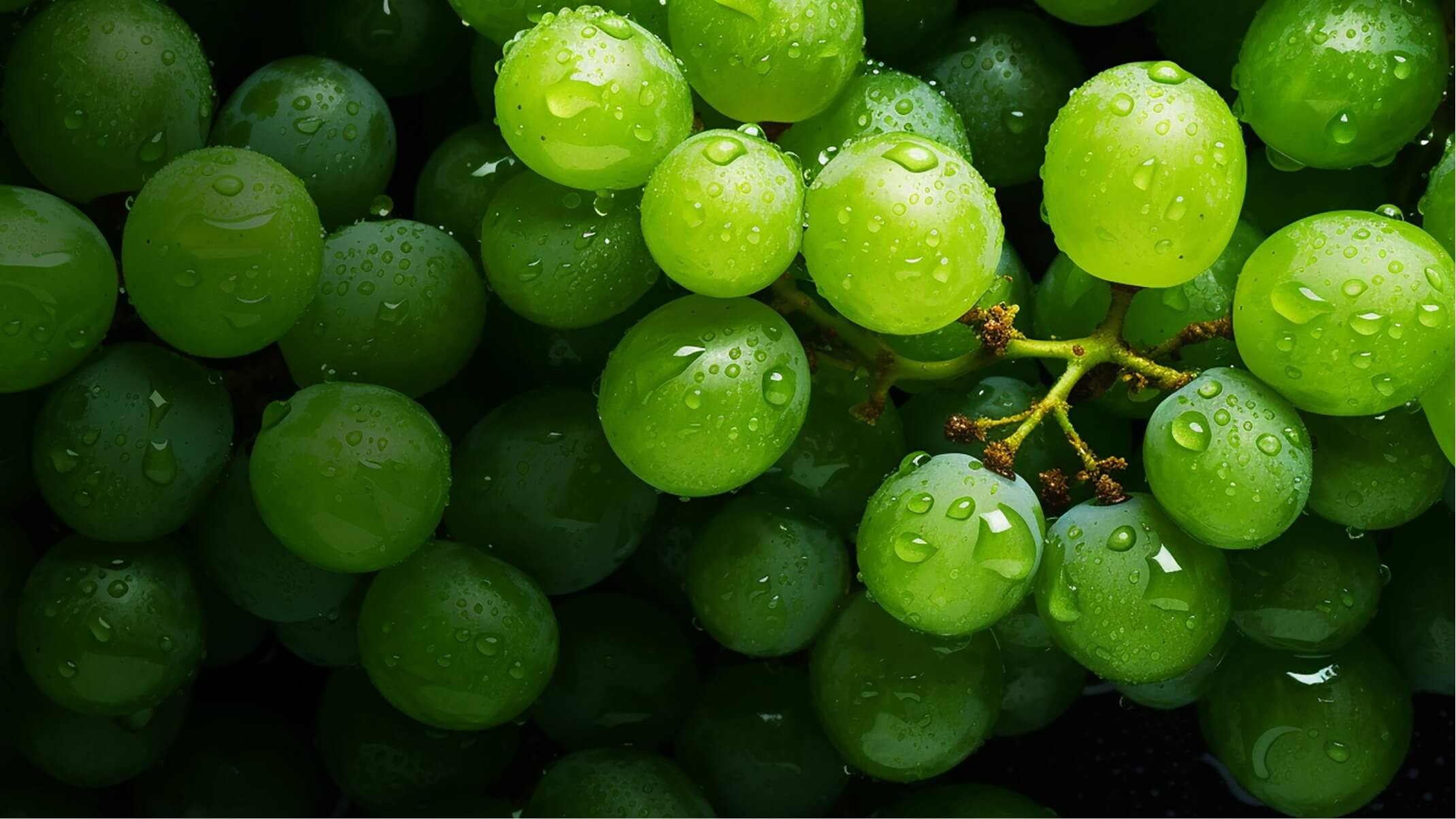 les vertus du pepin de raisin