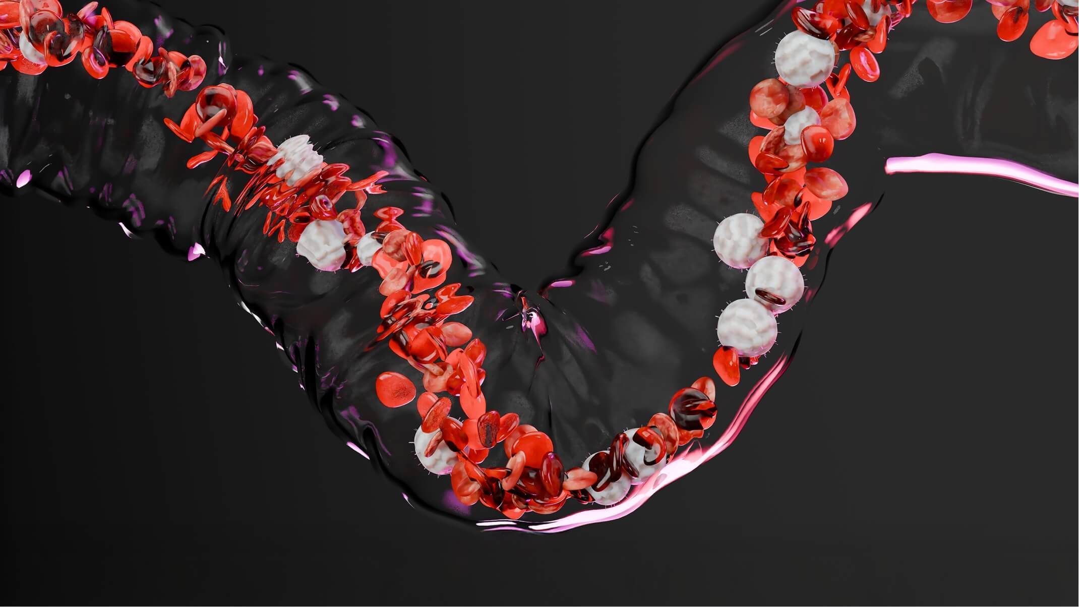 sante cardiovasculaire comment prendre soin de ses arteres