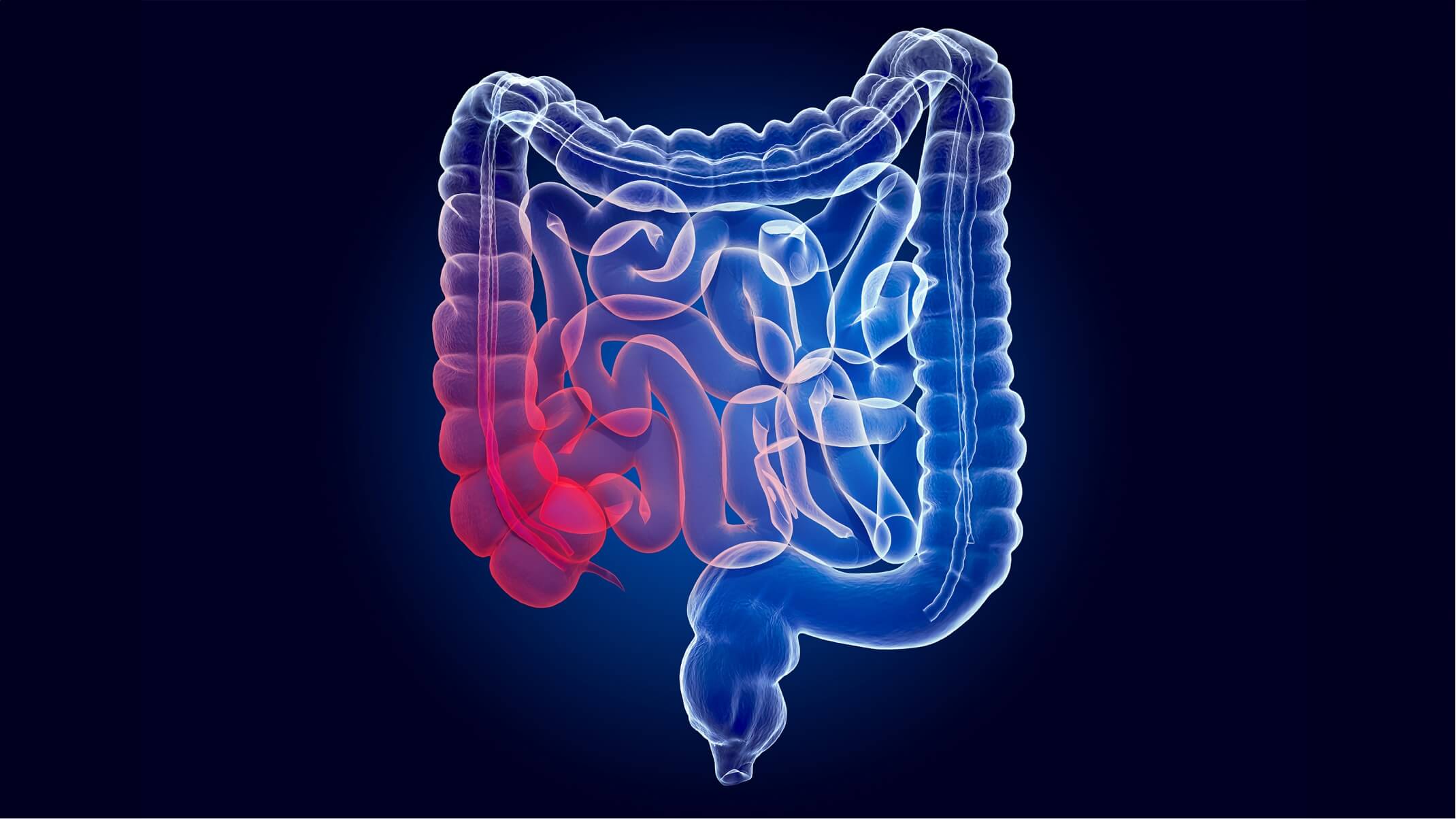 probiotiques et effets secondaires