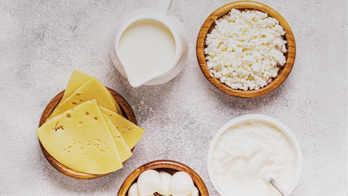 les probiotiques naturels dans l alimentation
