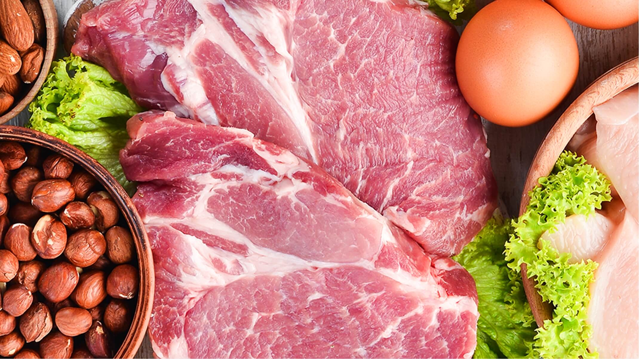 quelles differences entre proteines animales et vegetales