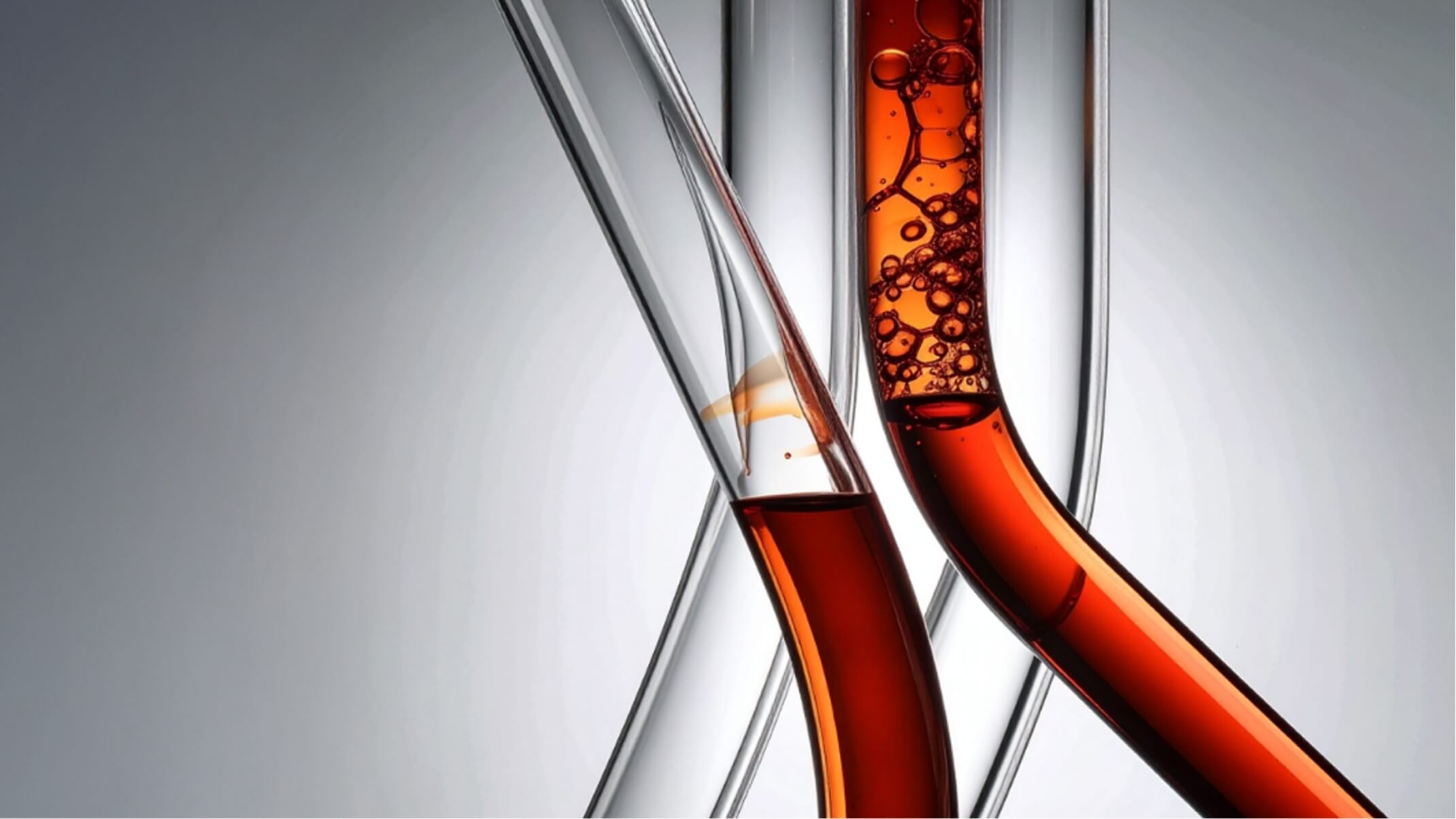 regulation de la glycemie