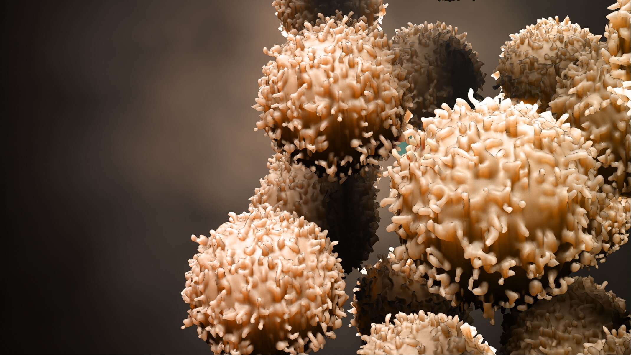 signes et causes d un systeme immunitaire faible