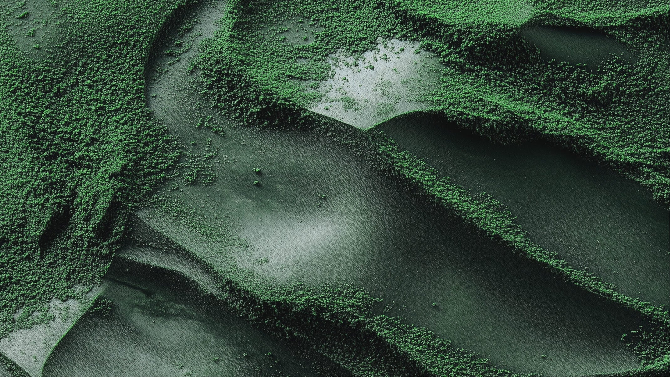 les bienfaits de la spiruline