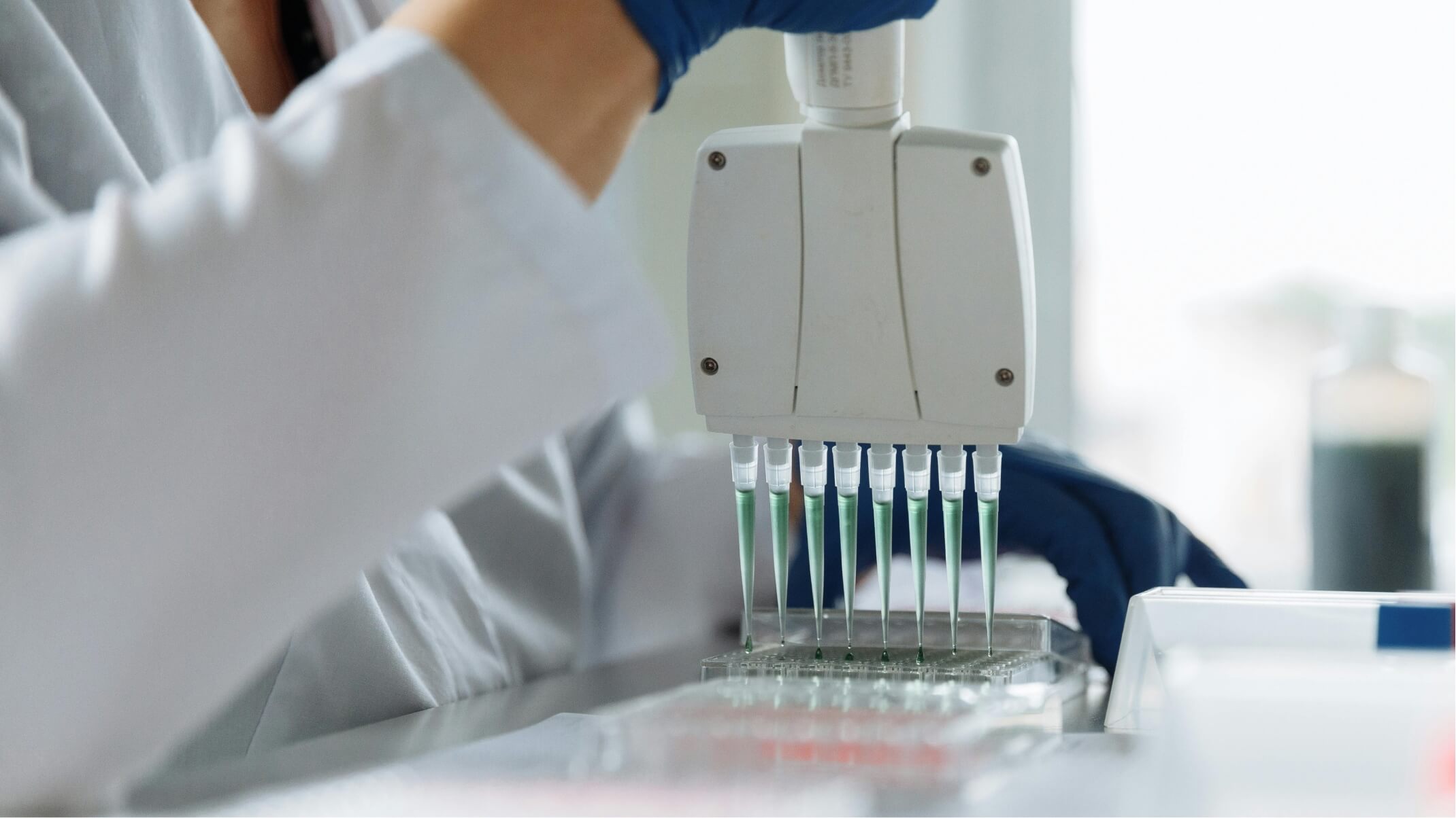 qu est ce que le totox