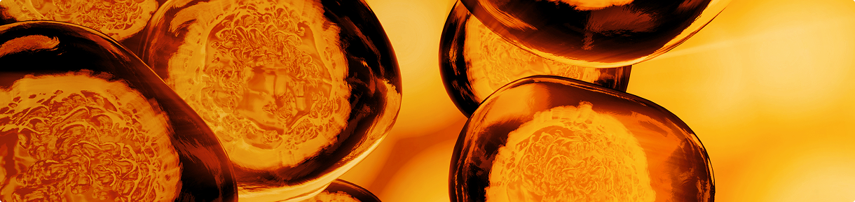 Compléments alimentaires Immunité - Vitalité