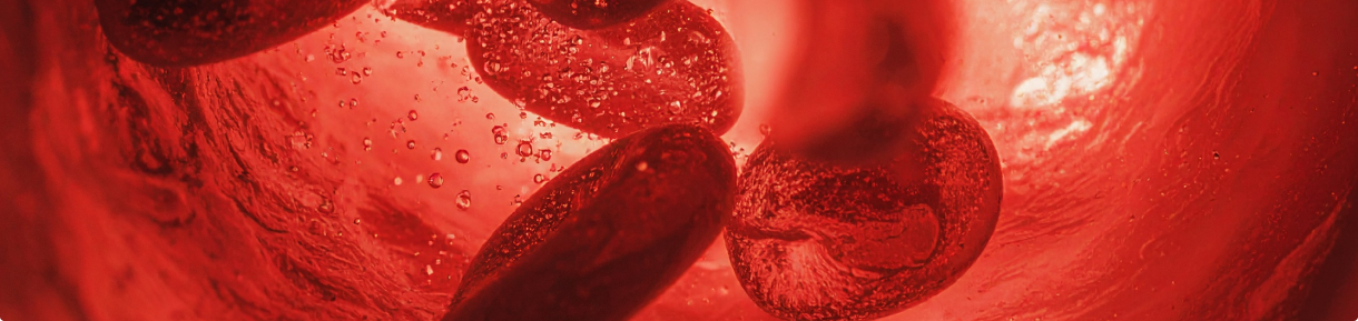 Compléments alimentaires Métabolisme - système cardiovasculaire