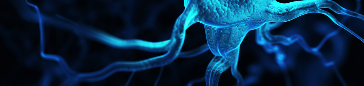 Compléments alimentaires Cerveau - vue