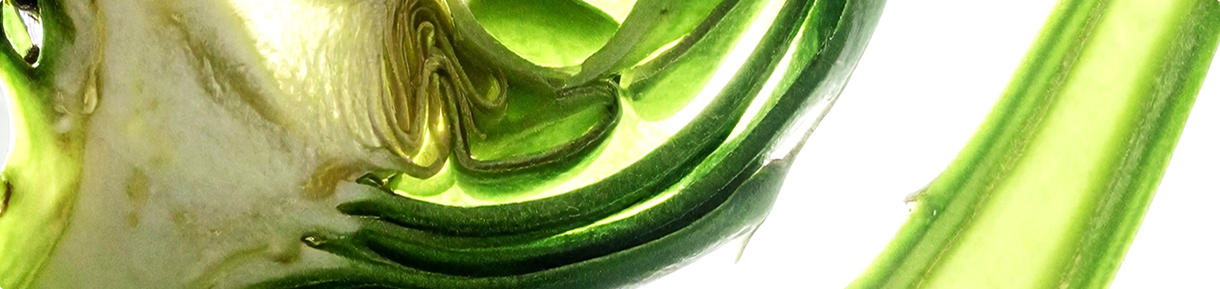 Compléments alimentaires Minceur - digestion