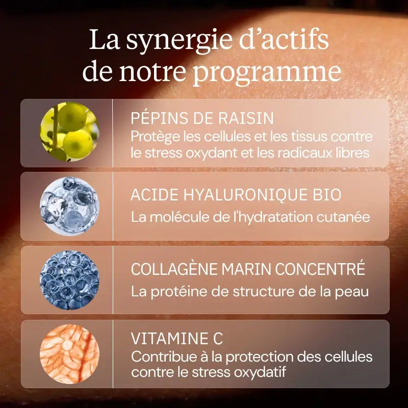 Programme Solaire synergie