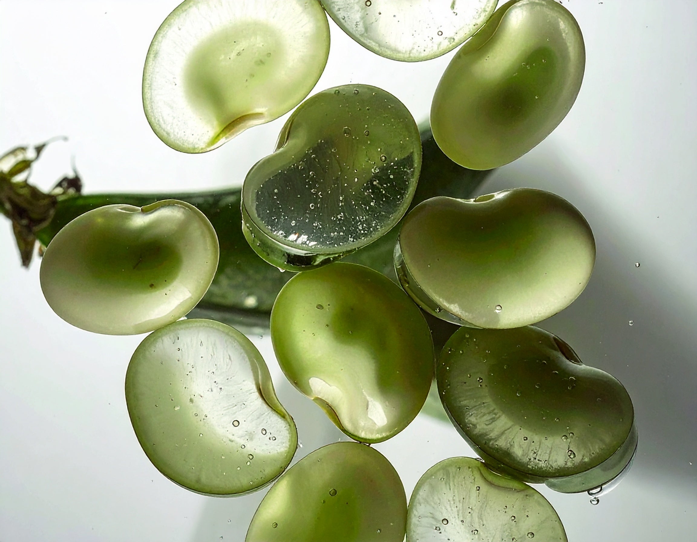 firefly un groupe de feves vertes coupees en tranches est presente sur un fond blanc. les