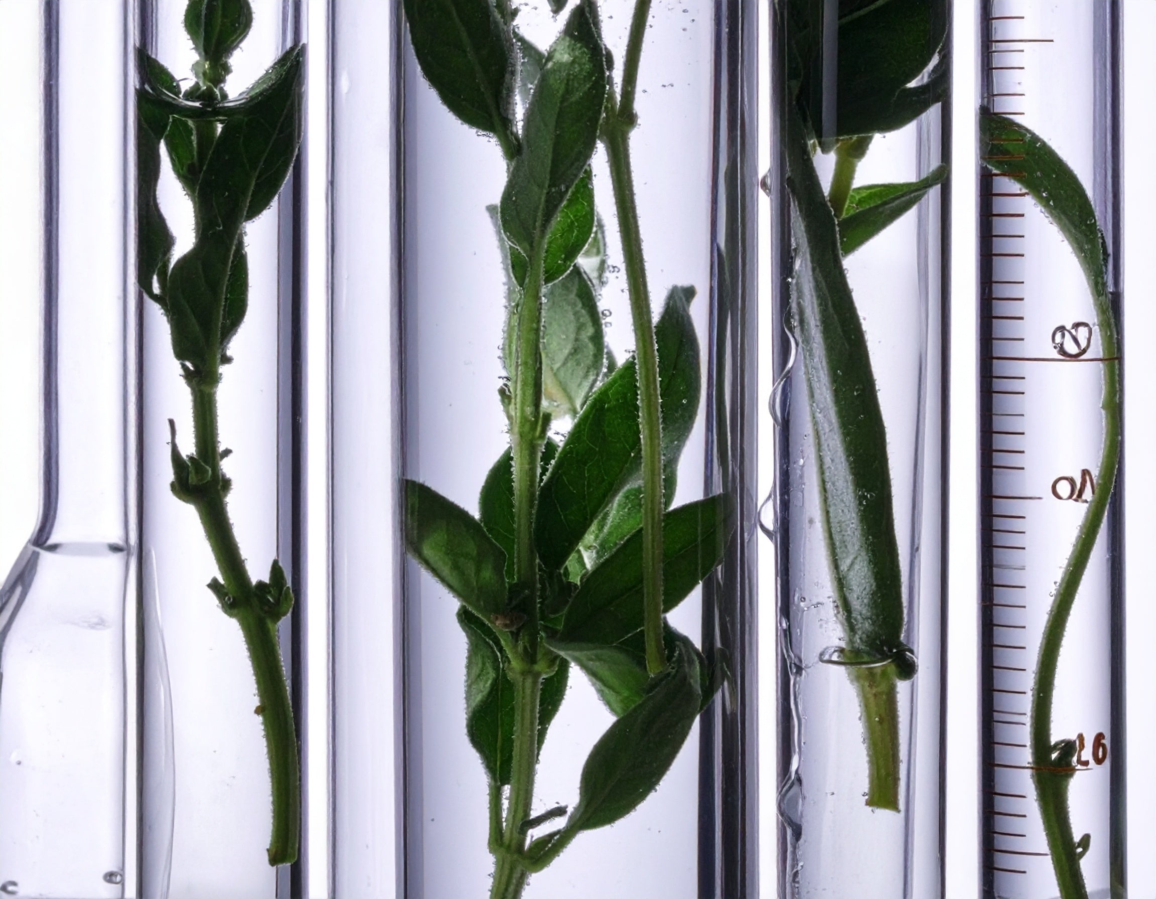 Traçabilité & transparence