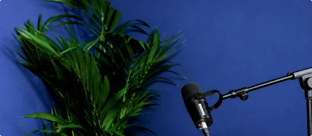 Podcast Dans la Zone Bleue  header 1
