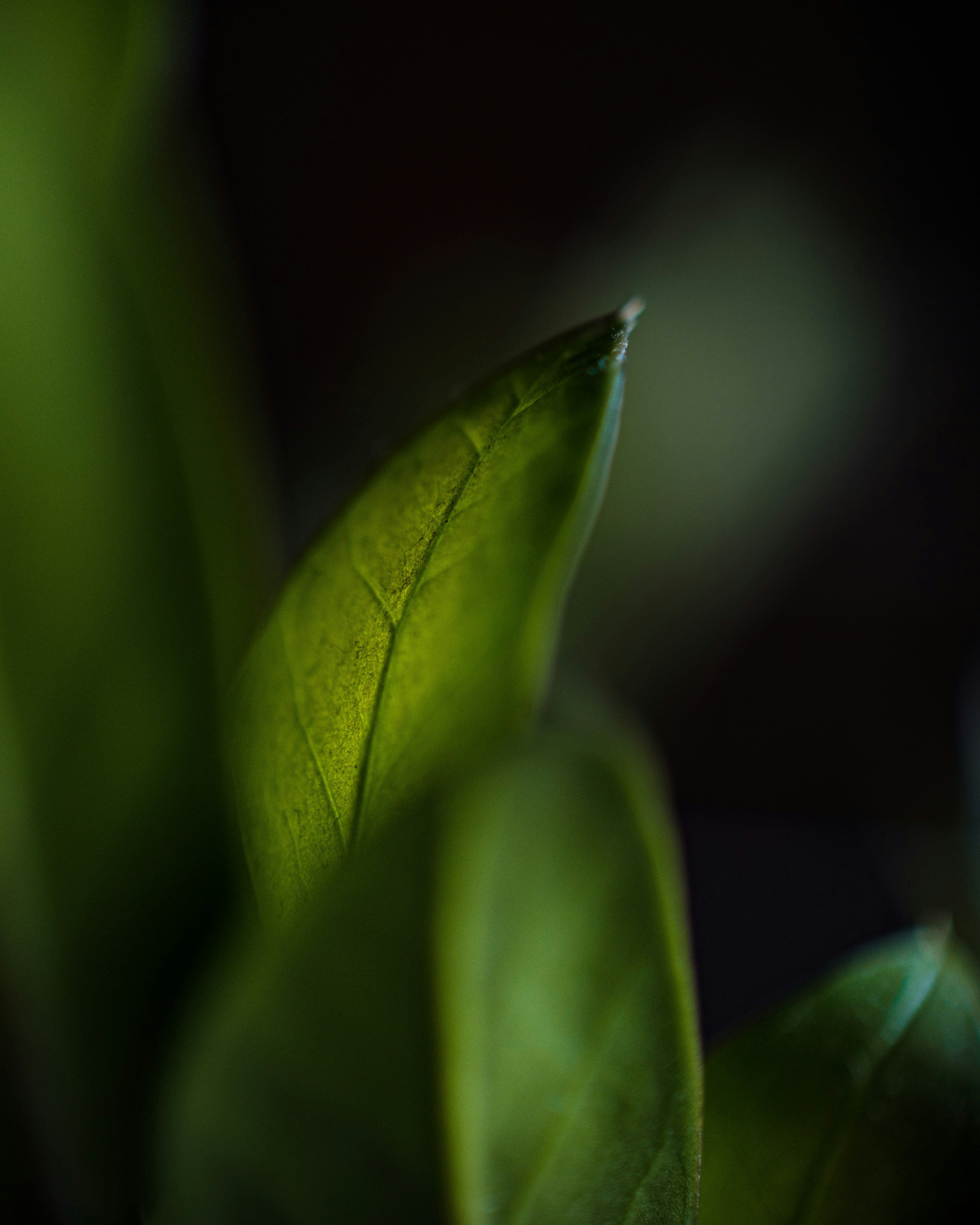 abhijit sinha dv nqlno0ug unsplash