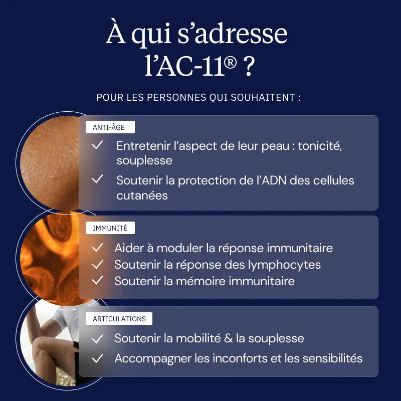 ac 11 griffe de chat personae