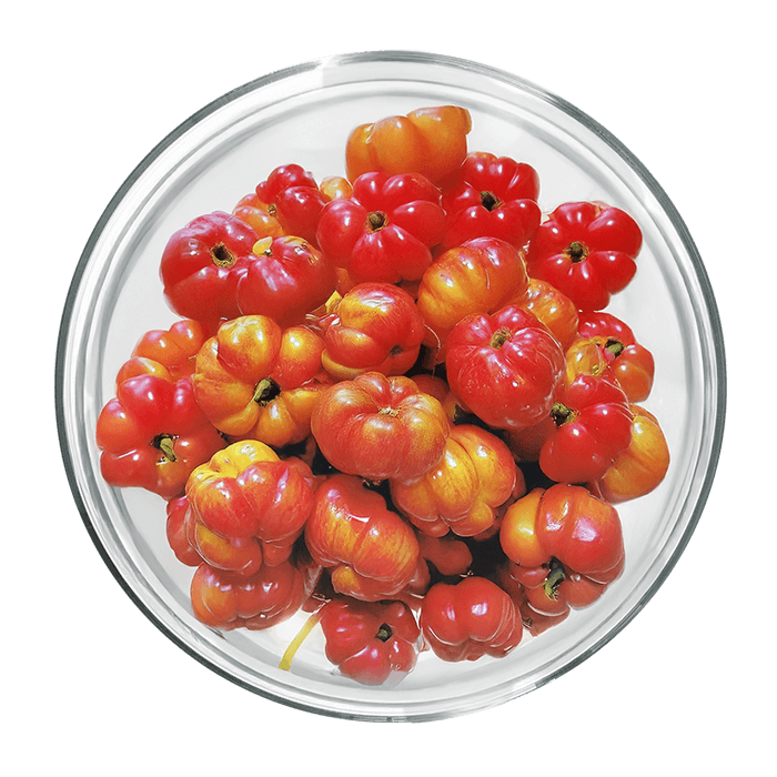 acerola bio image matiere