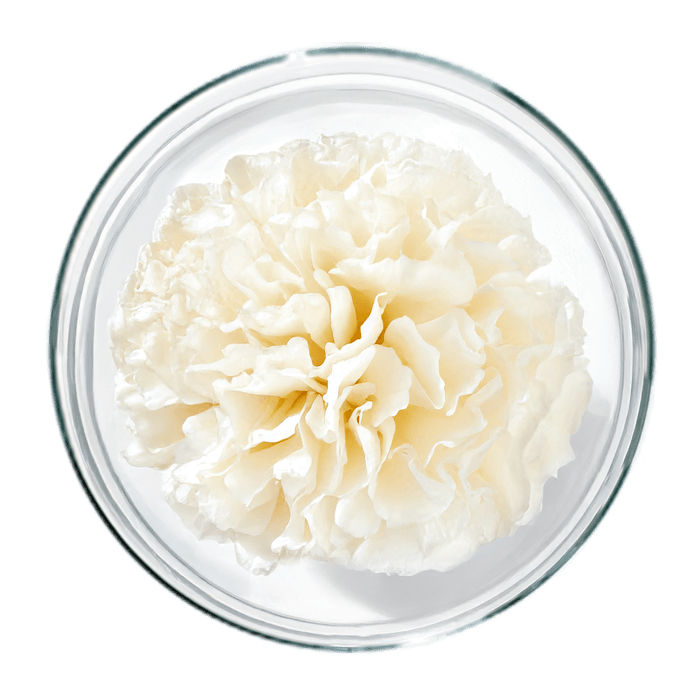 acide hyaluronique bio image matiere web