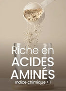 acides amines proteines vegetales