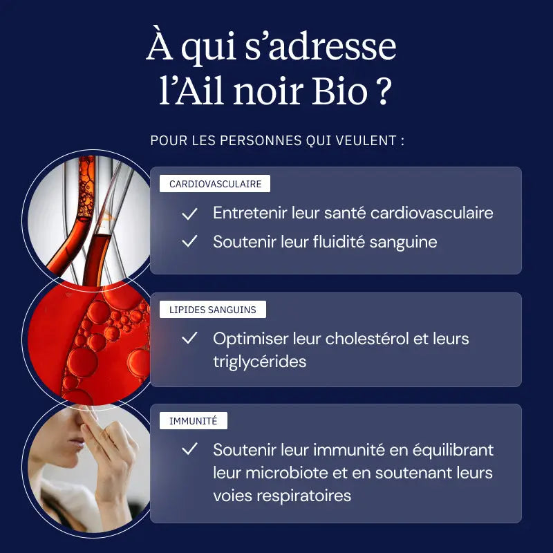 ail noir hero image personae