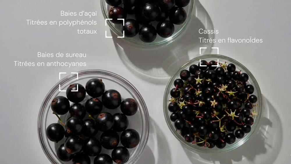 antioxydants et cofacteurs naturels