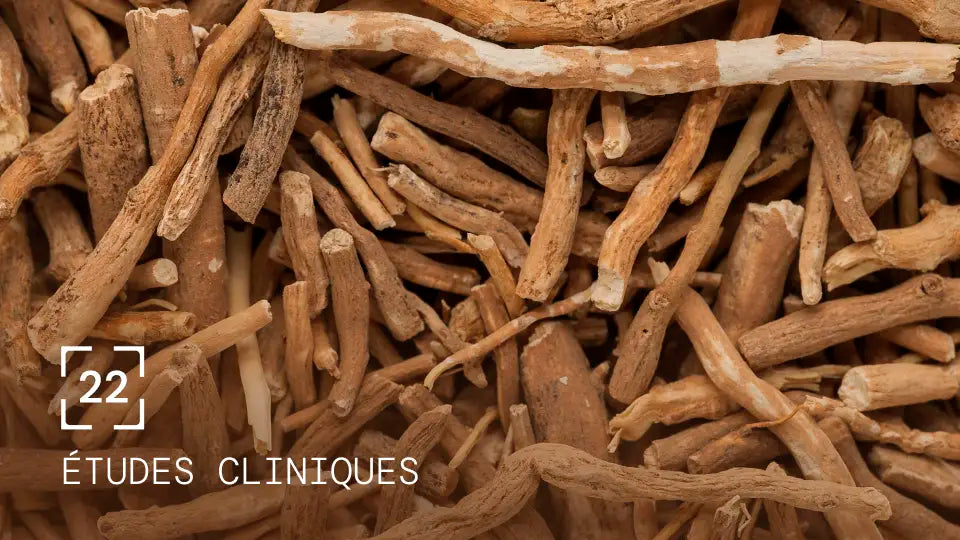 Etudes cliniques ashwagandha KSM-66