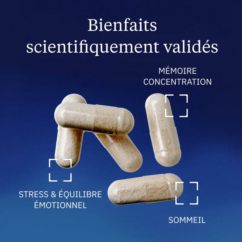 Ashwagandha BIO KSM-66