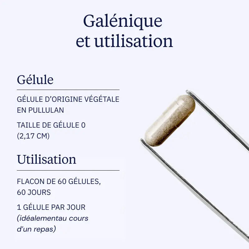 Ashwagandha BIO KSM-66