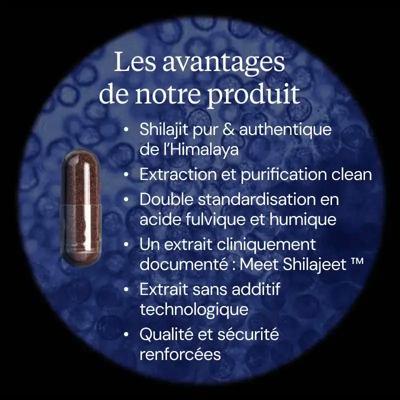 shilajit avantages