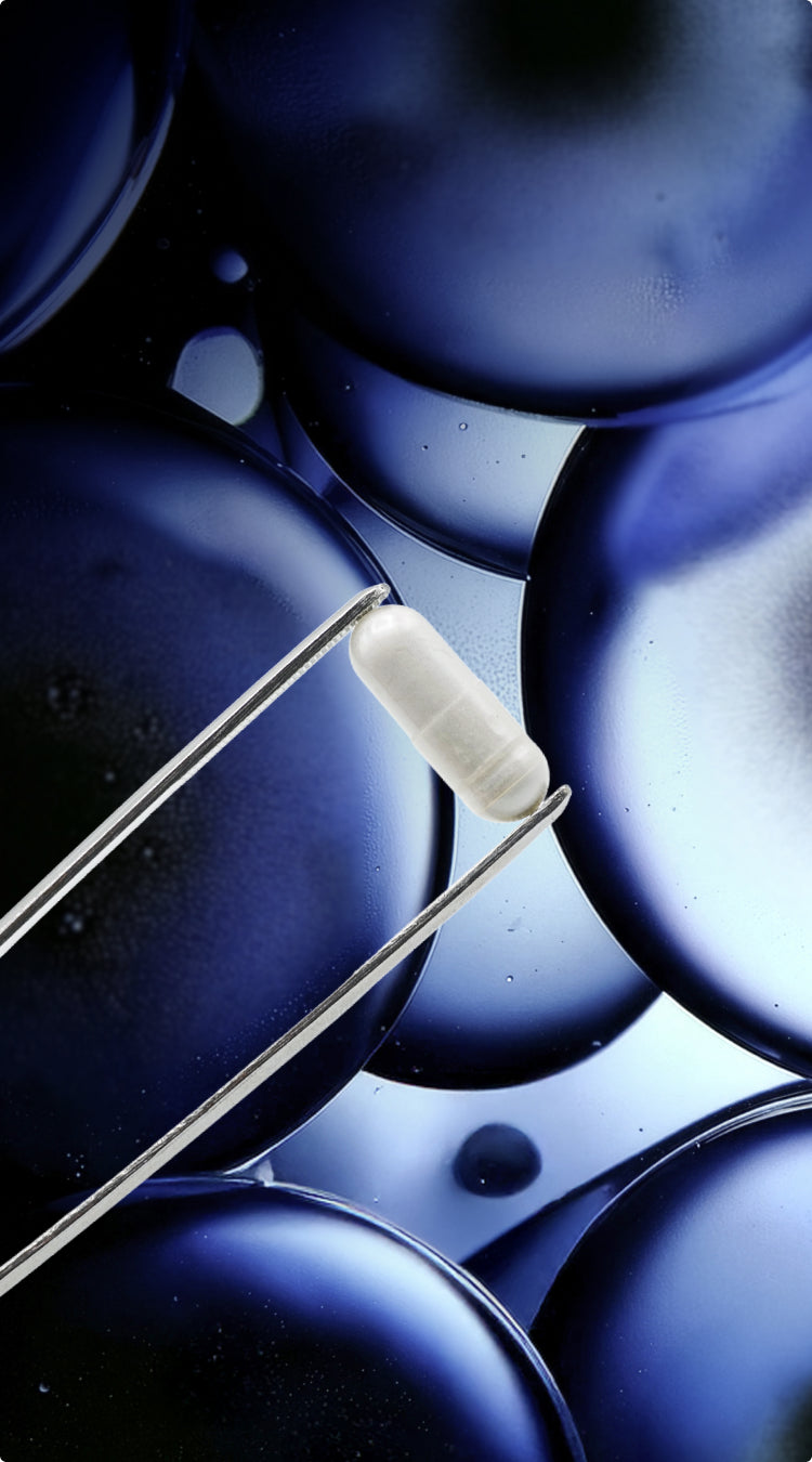 banniere collection annivercell selection longevite