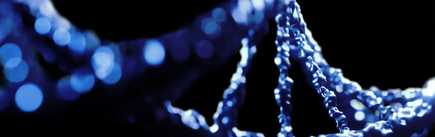 banniere nucleotides