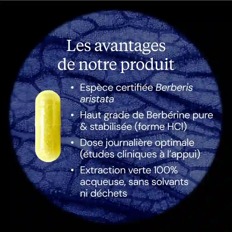 Berbérine pure