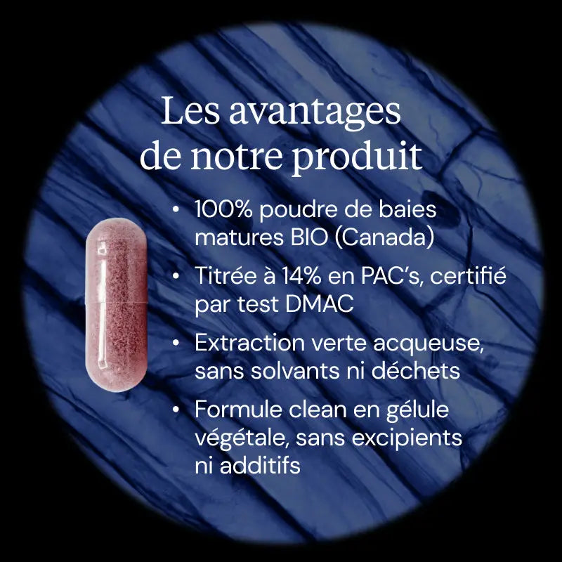 canneberge avantages