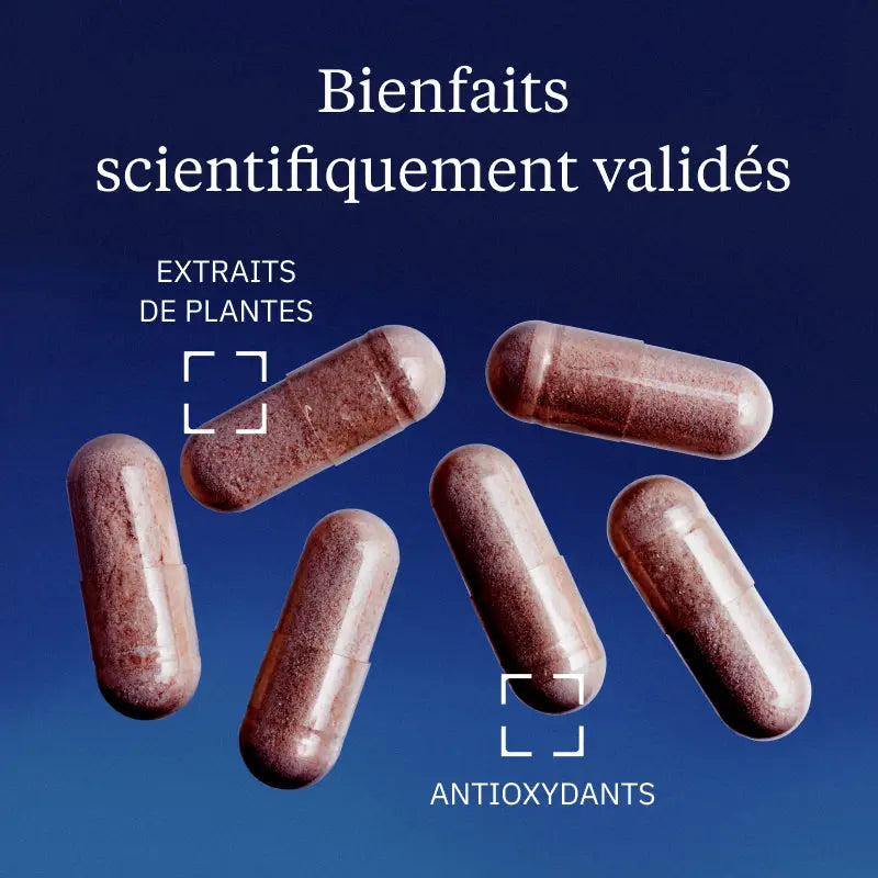 canneberge bienfaits