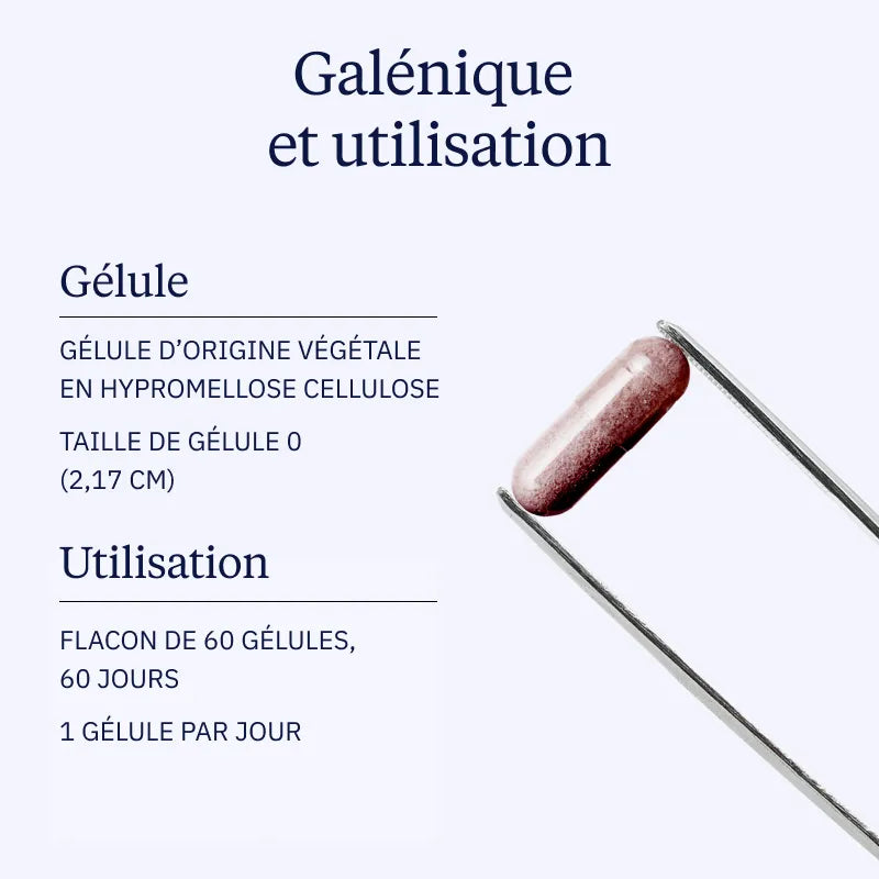 canneberge bio galénique