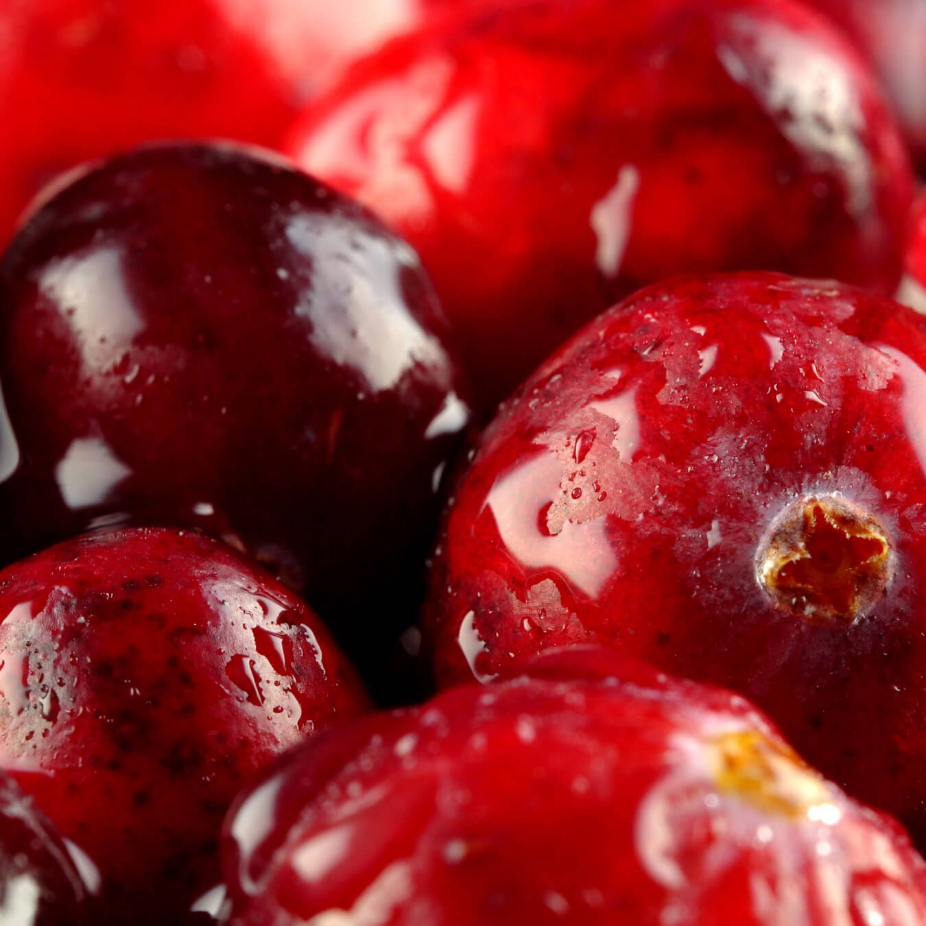 canneberge image ingredient