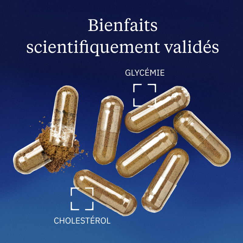 Cannelle de Ceylan BIO bienfaits