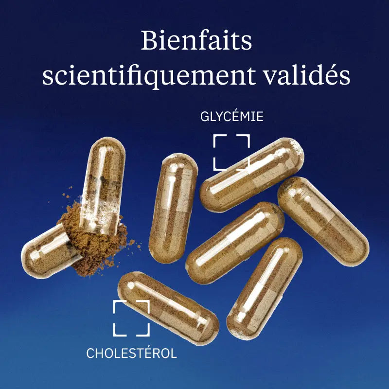 Cannelle de Ceylan BIO