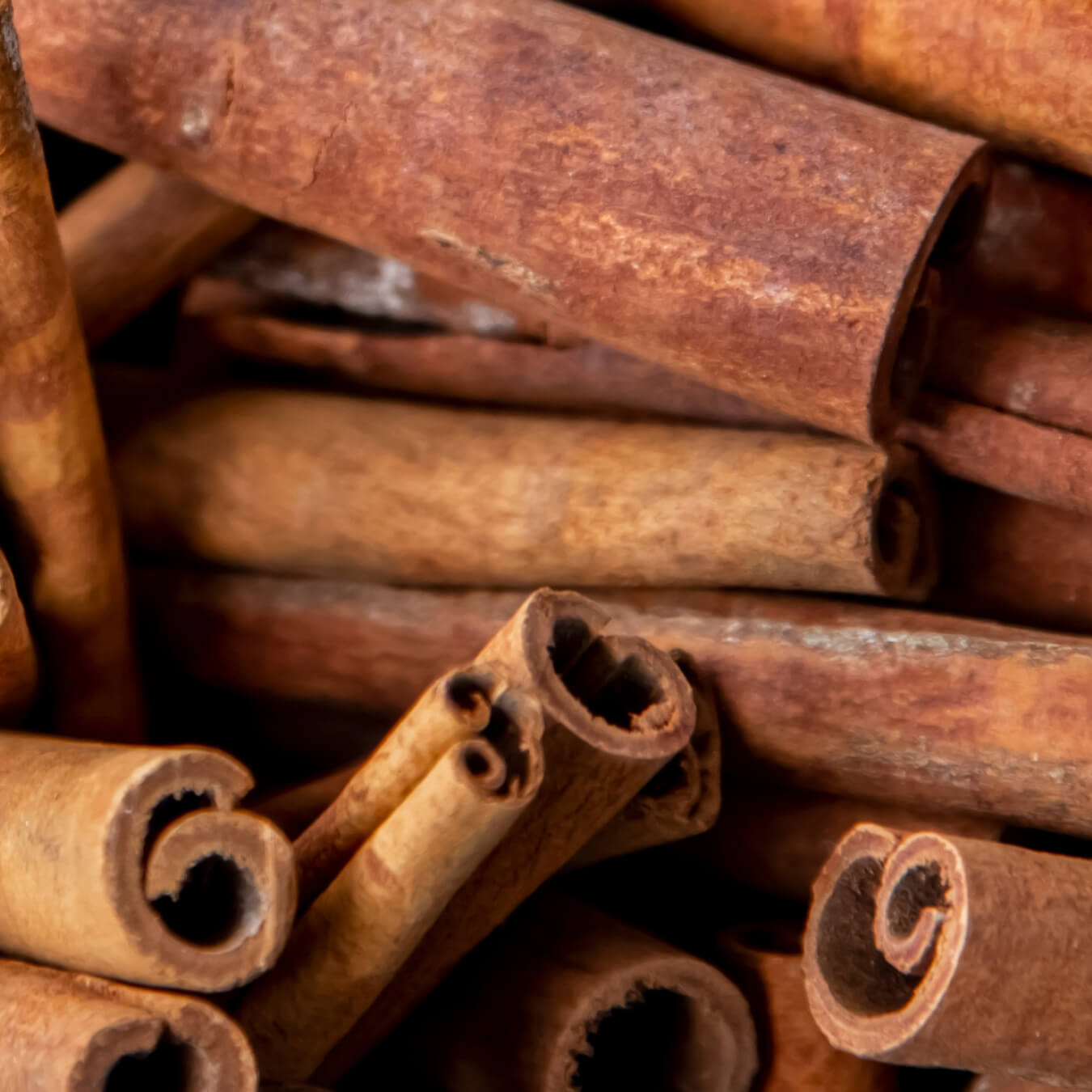 cannelle ceylan image ingredient