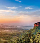 cannelle de ceylan de chine